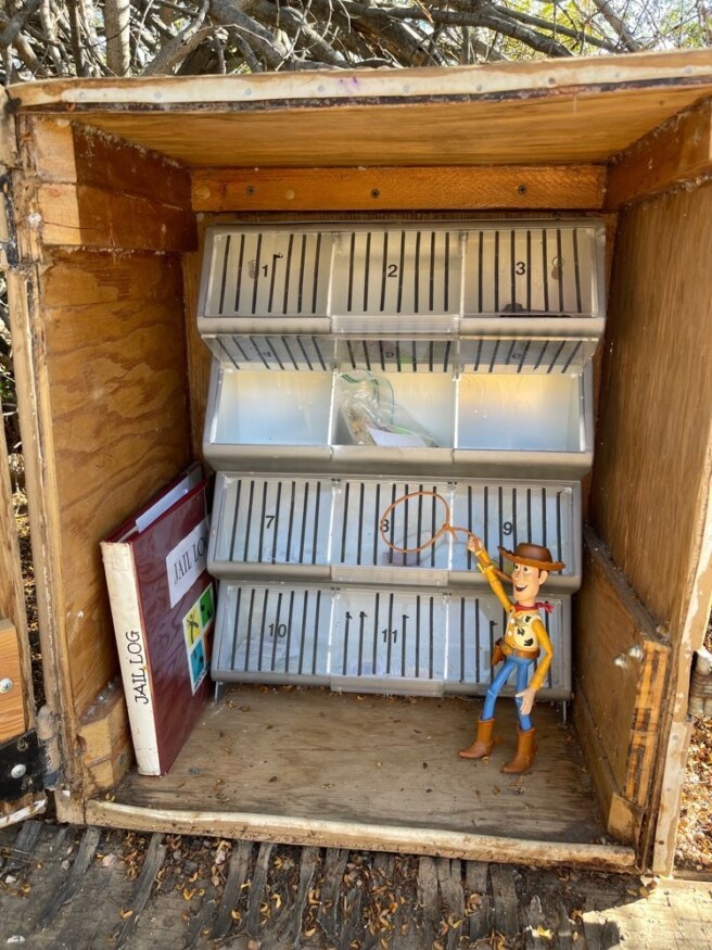 Para deputi, bawa bug perjalanan itu — Geocache Minggu Ini – Blog Resmi