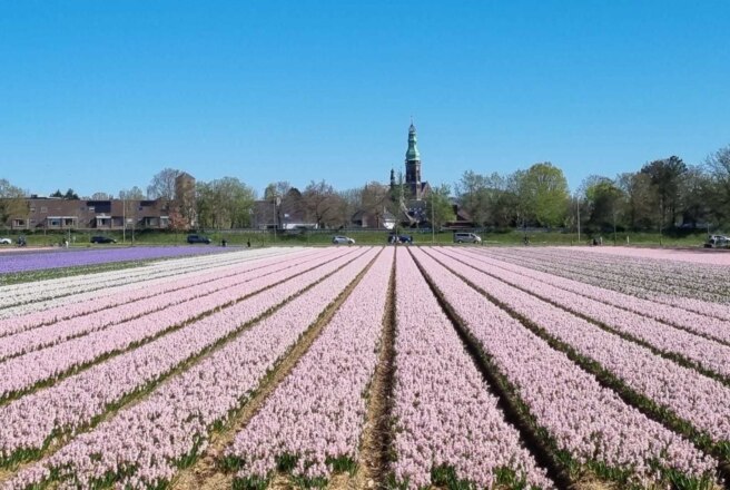 Lisse — Geocache Minggu Ini – Blog Resmi