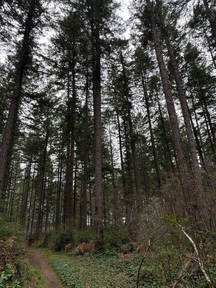 Spaceballs the Cache — Geocache Minggu Ini – Blog Resmi